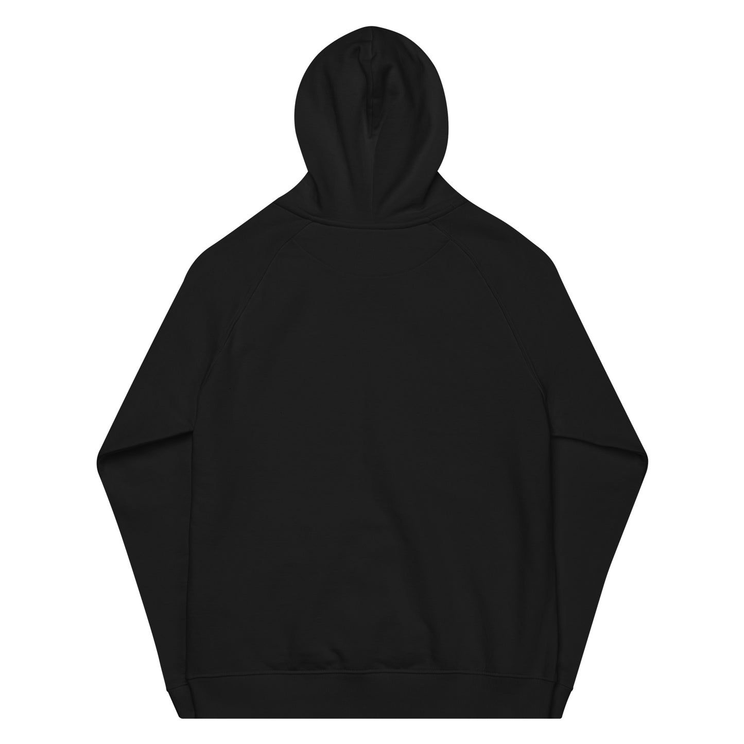 Sludge Raglan Hoodie