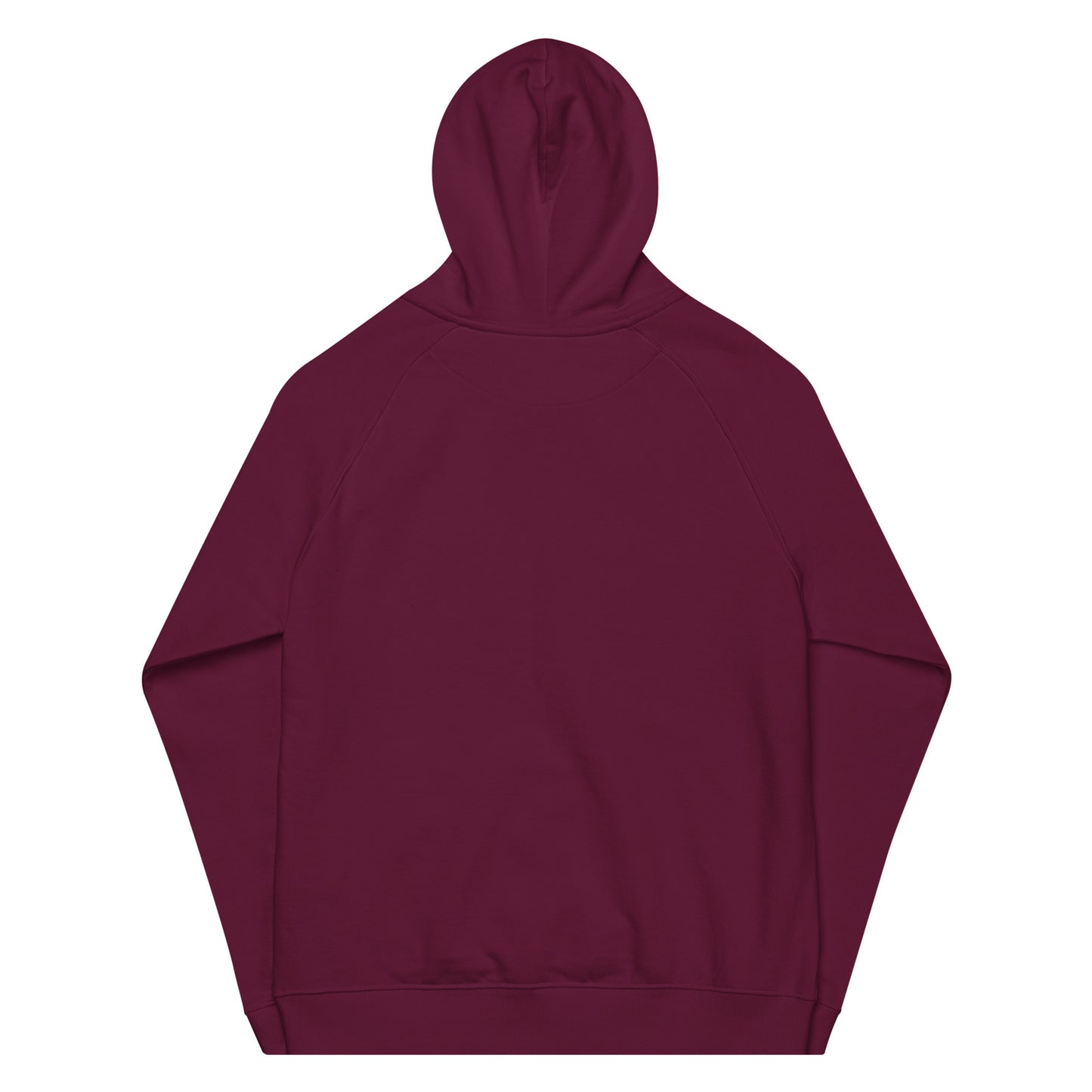 Sludge Raglan Hoodie