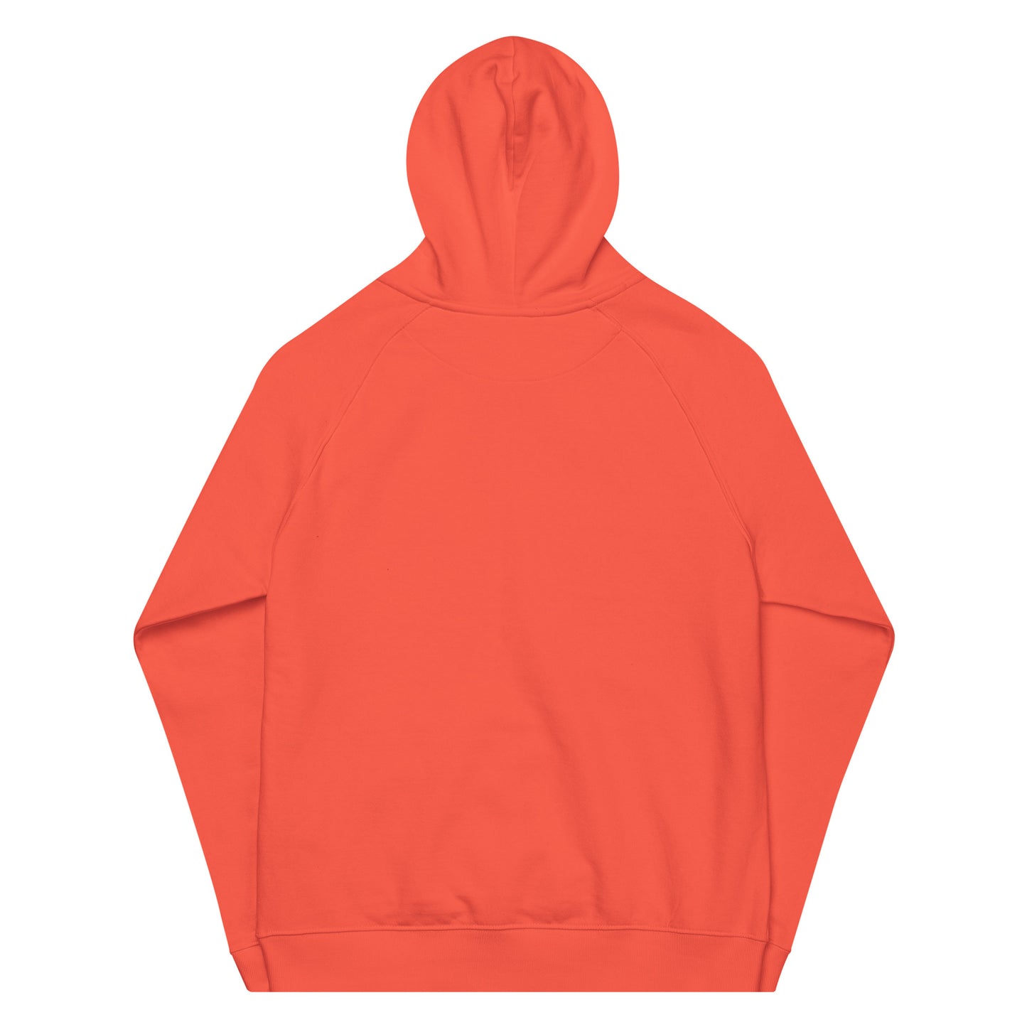Sludge Raglan Hoodie